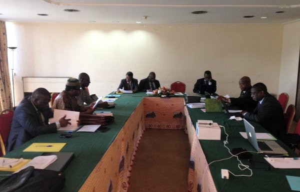 Travaux en pléinière des membres du réseau. Yaoundé 2014